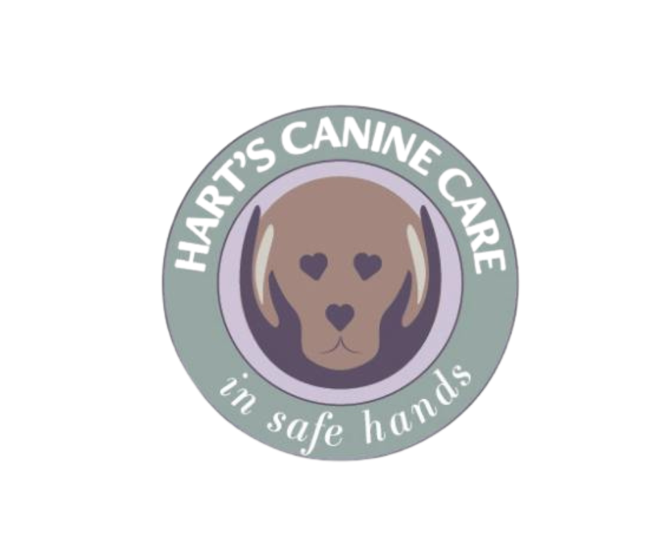  Harts Canine Care 